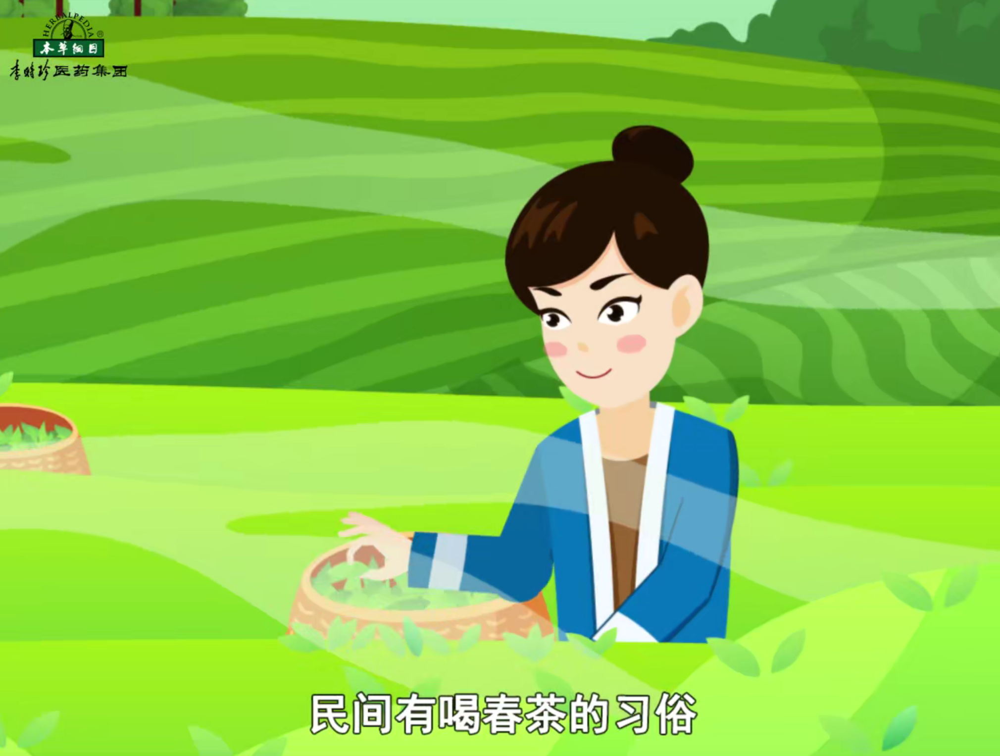 谷雨節(jié)氣，采茶對雨
