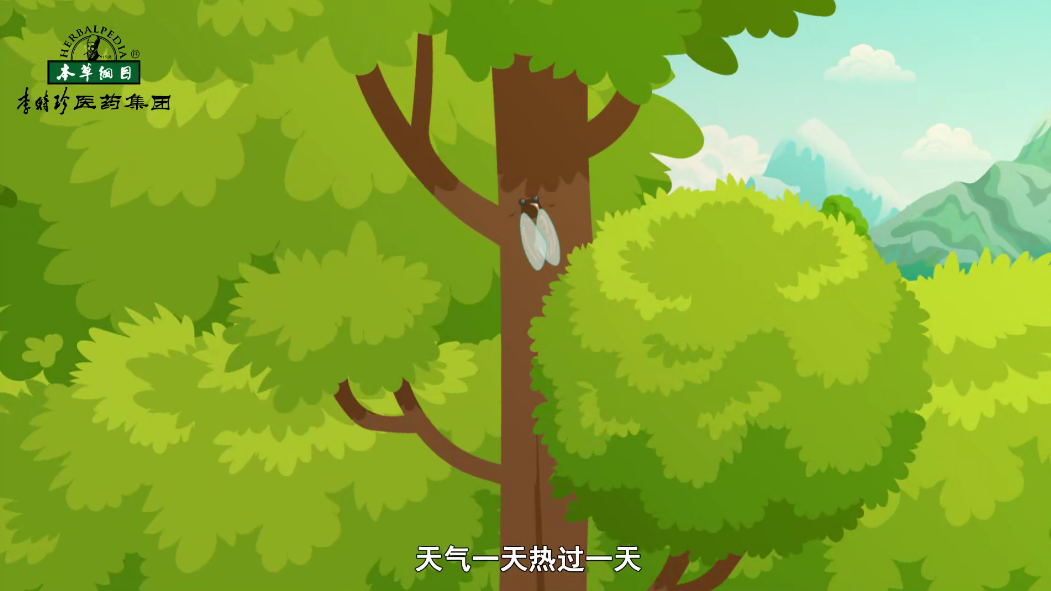 小暑節(jié)氣，濕熱多汗，記得多喝水