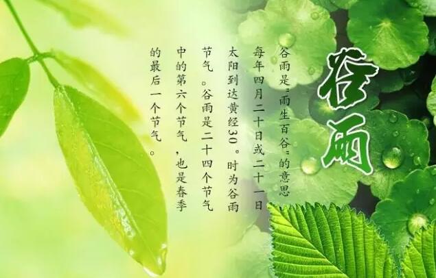 【24節(jié)氣養(yǎng)生篇】谷雨：祛濕熱防春火是關(guān)鍵
