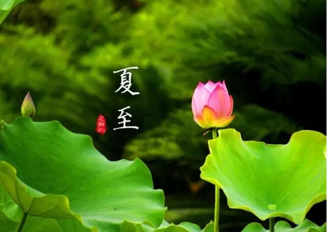 【二十四節(jié)氣養(yǎng)生篇】夏至：多食苦，靜養(yǎng)心