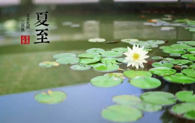 【二十四節(jié)氣養(yǎng)生篇】夏至：夏季清補(bǔ)，冬病夏“治”